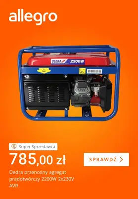 Allegro - gazetka promocyjna Zimowe obowiązki nie takie straszne od piątku 23.01 do czwartku 29.01 - strona 3