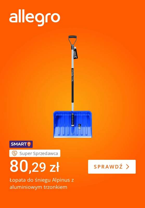 Allegro - gazetka promocyjna Zimowe obowiązki nie takie straszne od piątku 23.01 do czwartku 29.01