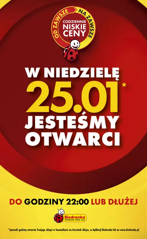 Biedronka - gazetka promocyjna Tani Weekend od piątku 23.01 do soboty 24.01 - strona 6