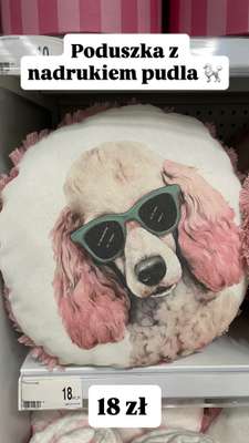 Dealz - gazetka promocyjna Zakupowe Inspiracje w Dealz od piątku 23.01  - strona 12