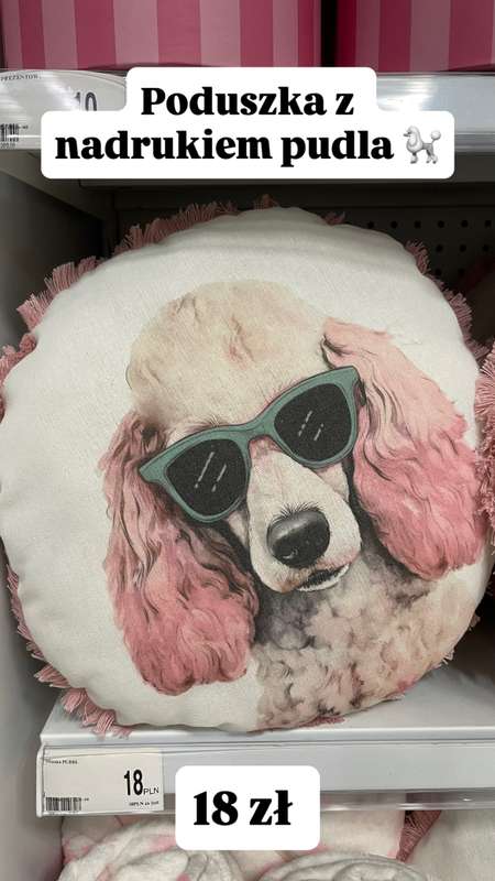 Dealz - gazetka promocyjna Zakupowe Inspiracje w Dealz od piątku 23.01  - strona 12