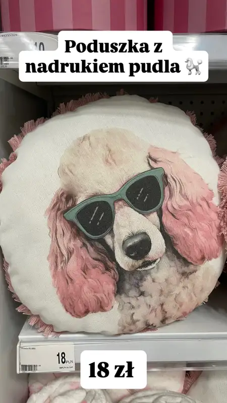 Dealz - gazetka promocyjna Zakupowe Inspiracje w Dealz od piątku 23.01  - strona 12