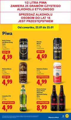 Lidl - gazetka promocyjna Oferta od czwartku od czwartku 22.01 do niedzieli 25.01 - strona 45
