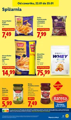 Lidl - gazetka promocyjna Oferta od czwartku od czwartku 22.01 do niedzieli 25.01 - strona 49