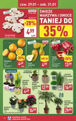 Aldi - gazetka promocyjna Pełny katalog! od poniedziałku 26.01 do soboty 31.01 - strona 20