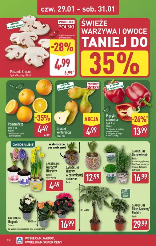 Aldi - gazetka promocyjna Pełny katalog! od poniedziałku 26.01 do soboty 31.01 - strona 20