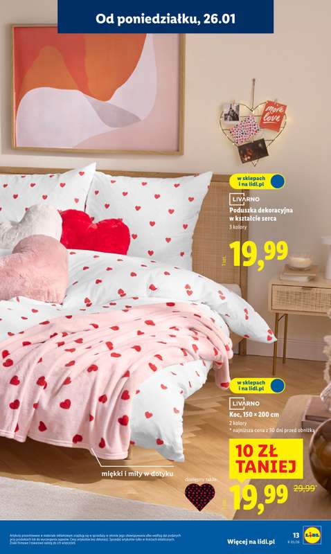 Lidl - gazetka promocyjna Katalog od poniedziałku 26.01 do soboty 31.01 - strona 13