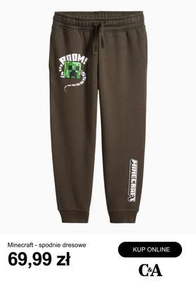 Minecraft - spodnie dresowe