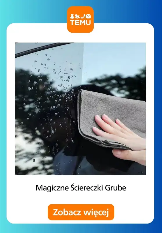 Temu - gazetka promocyjna Zimowe sprzątanie od piątku 23.01  - strona 13