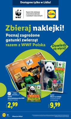 Lidl - gazetka promocyjna Katalog od poniedziałku 26.01 do soboty 31.01 - strona 36
