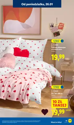 Lidl - gazetka promocyjna Katalog od poniedziałku 26.01 do soboty 31.01 - strona 13