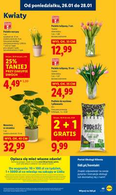 Lidl - gazetka promocyjna Oferta od poniedziałku od poniedziałku 26.01 do środy 28.01 - strona 49