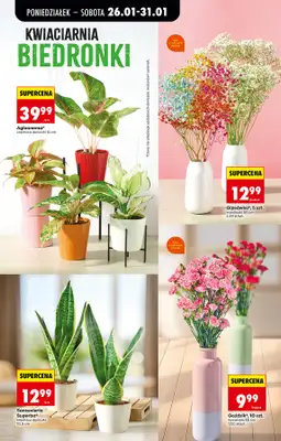 Biedronka - gazetka promocyjna Od poniedziałku od poniedziałku 26.01 do soboty 31.01 - strona 25