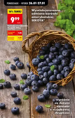 Biedronka - gazetka promocyjna Od poniedziałku, Z ladą tradycyjną od poniedziałku 26.01 do niedzieli 01.02 - strona 64