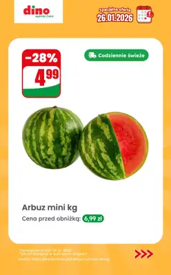 Dino - gazetka promocyjna Specjalna oferta na 26.01.2026 - promocje spoza gazetki od poniedziałku 26.01 do poniedziałku 26.01 - strona 2