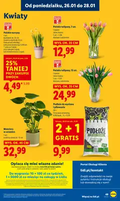 Lidl - gazetka promocyjna Oferta od poniedziałku od poniedziałku 26.01 do środy 28.01 - strona 49