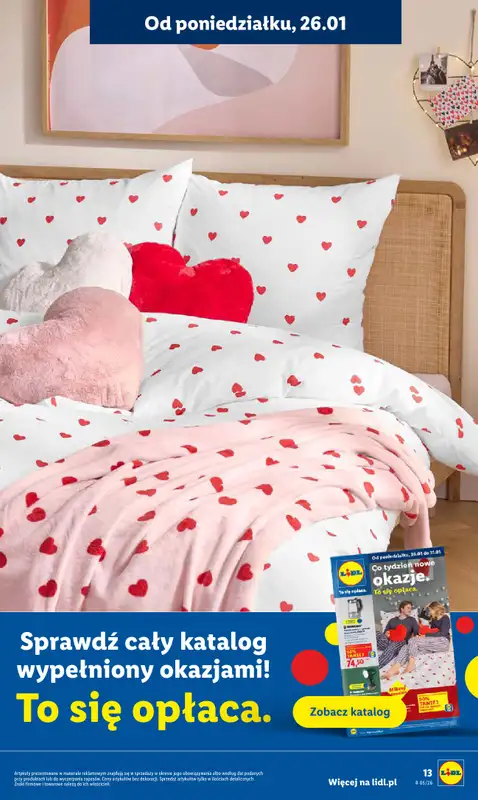 Lidl - gazetka promocyjna Oferta od poniedziałku od poniedziałku 26.01 do środy 28.01 - strona 19