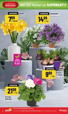 POLOmarket - gazetka promocyjna Gazetka od środy 28.01 do wtorku 03.02 - strona 42