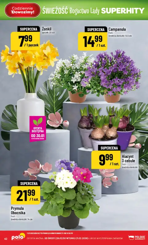 POLOmarket - gazetka promocyjna Gazetka od środy 28.01 do wtorku 03.02 - strona 42