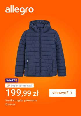 Allegro - gazetka promocyjna Ostatnie dni zimowej wyprzedaży od wtorku 27.01 do poniedziałku 02.02 - strona 3