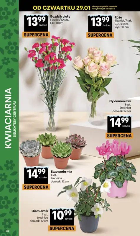 Delikatesy Centrum - gazetka promocyjna Gazetka  do środy 04.02 - strona 38