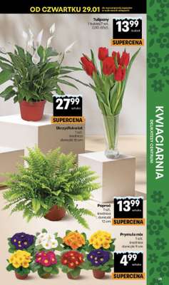 Delikatesy Centrum - gazetka promocyjna Gazetka  do środy 04.02 - strona 39