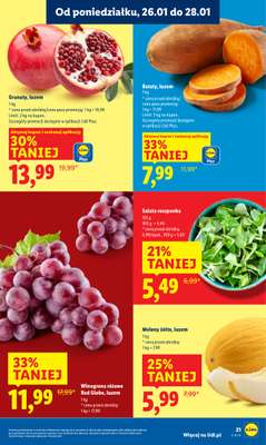 Lidl - gazetka promocyjna Oferta od poniedziałku od poniedziałku 26.01 do środy 28.01 - strona 21
