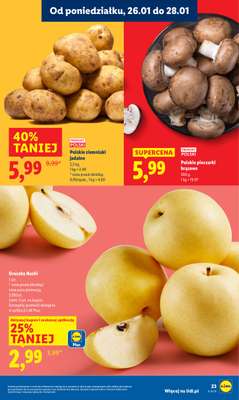 Lidl - gazetka promocyjna Oferta od poniedziałku od poniedziałku 26.01 do środy 28.01 - strona 23