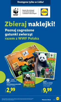 Lidl - gazetka promocyjna Katalog od poniedziałku 02.02 do soboty 07.02 - strona 46