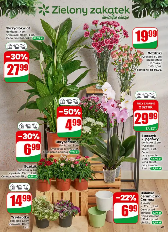 Dino - gazetka promocyjna Gazetka 05 / 2026 od środy 28.01 do wtorku 03.02 - strona 45