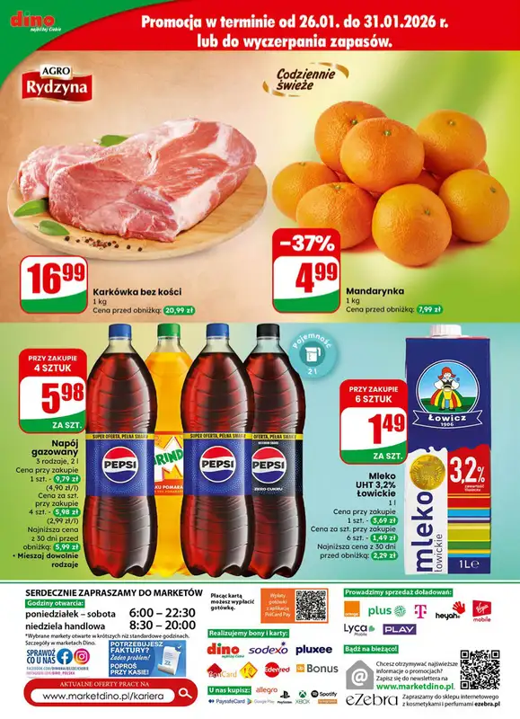 Dino - gazetka promocyjna Gazetka 05 / 2026 od środy 28.01 do wtorku 03.02 - strona 60