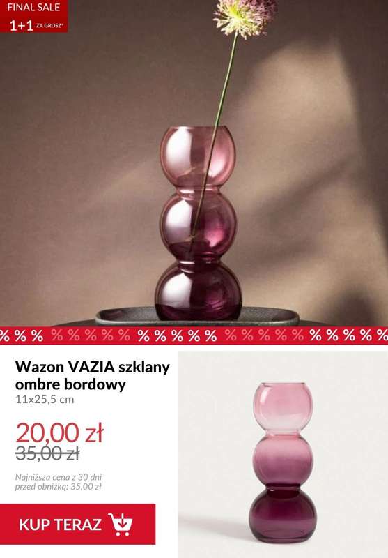 Homla - gazetka promocyjna 1+1 za grosz od środy 28.01 do wtorku 03.02 - strona 5