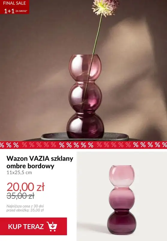 Homla - gazetka promocyjna 1+1 za grosz od środy 28.01 do wtorku 03.02 - strona 5