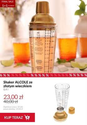 Homla - gazetka promocyjna 1+1 za grosz od środy 28.01 do wtorku 03.02 - strona 4