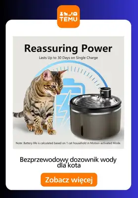 Temu - gazetka promocyjna Inteligentny dom od wtorku 27.01  - strona 4