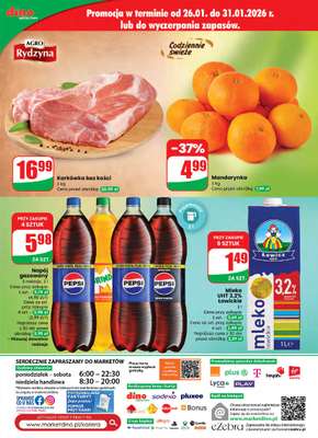 Dino - gazetka promocyjna Gazetka 05 / 2026 od środy 28.01 do wtorku 03.02 - strona 61