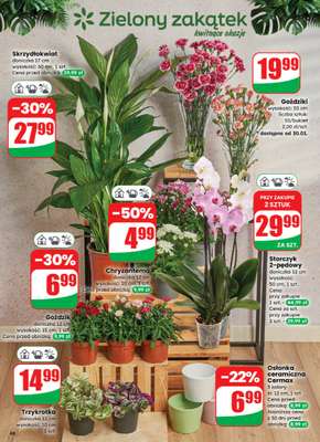 Dino - gazetka promocyjna Gazetka 05 / 2026 od środy 28.01 do wtorku 03.02 - strona 46