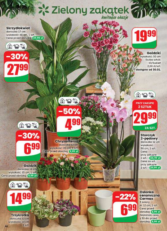 Dino - gazetka promocyjna Gazetka 05 / 2026 od środy 28.01 do wtorku 03.02 - strona 46