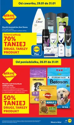 Lidl - gazetka promocyjna Oferta od czwartku od czwartku 29.01 do soboty 31.01 - strona 17
