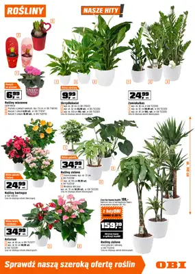 OBI - gazetka promocyjna Gazetka od środy 28.01 do wtorku 17.02 - strona 13