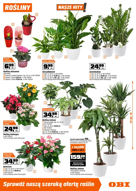 OBI - gazetka promocyjna Gazetka od środy 28.01 do wtorku 17.02 - strona 13