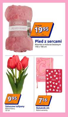 Action - gazetka promocyjna Gazetka od środy 28.01 do wtorku 03.02 - strona 15