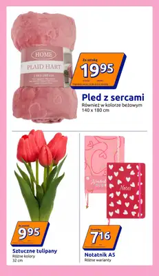 Action - gazetka promocyjna Gazetka od środy 28.01 do wtorku 03.02 - strona 15