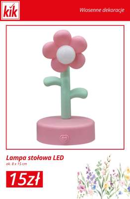 KiK - gazetka promocyjna Wiosenne dekoracje na każdą kieszeń! od środy 28.01 do wtorku 03.02 - strona 2
