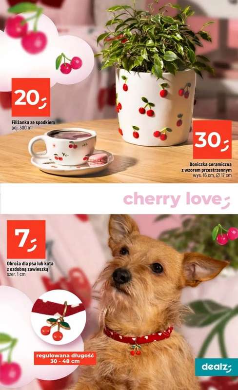 Dealz - gazetka promocyjna Make a Dealz! od czwartku 29.01 do środy 04.02 - strona 21