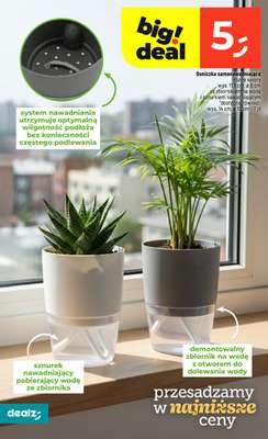 Dealz - gazetka promocyjna Make a Dealz! od czwartku 29.01 do środy 04.02 - strona 36