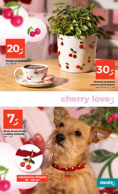 Dealz - gazetka promocyjna Make a Dealz! od czwartku 29.01 do środy 04.02 - strona 21