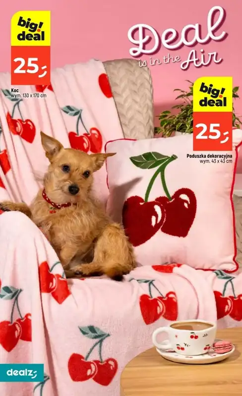 Dealz - gazetka promocyjna Make a Dealz! od czwartku 29.01 do środy 04.02 - strona 20
