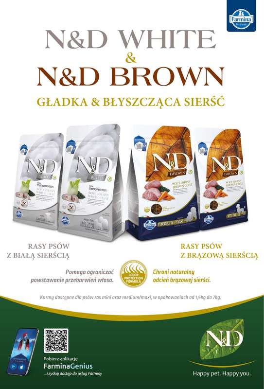 Aquael zoo - gazetka promocyjna Gazetka od poniedziałku 02.02 do soboty 28.02 - strona 12