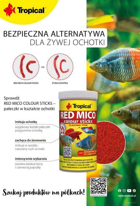 Aquael zoo - gazetka promocyjna Gazetka od poniedziałku 02.02 do soboty 28.02 - strona 14